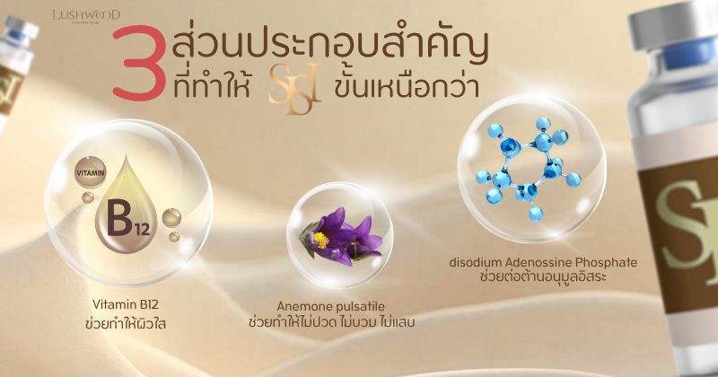 เมโสแฟต