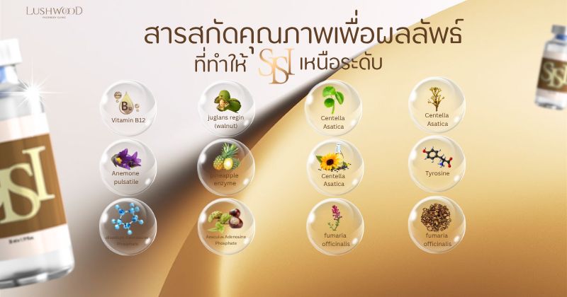 เมโสแฟต