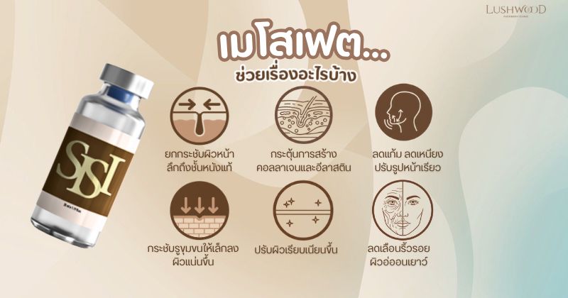 เมโสแฟต